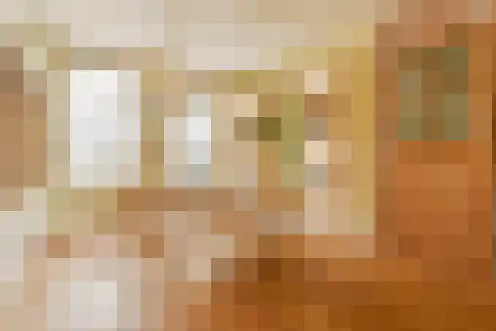 Floris Schoutenstraat 14 Sassenheim thumbnail 5