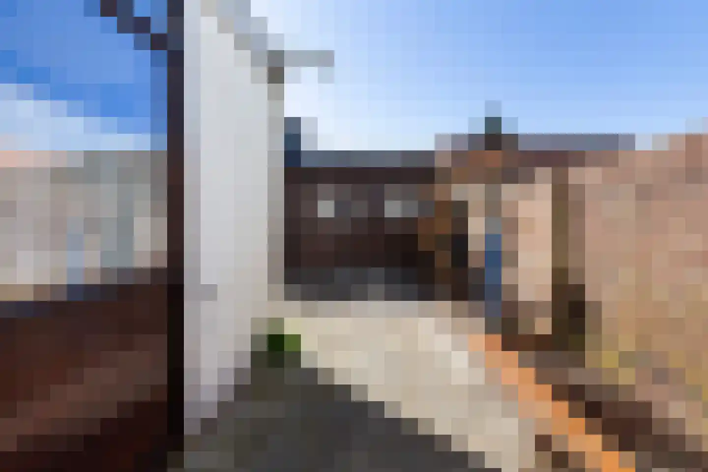 Floris Schoutenstraat 18 Sassenheim thumbnail 21