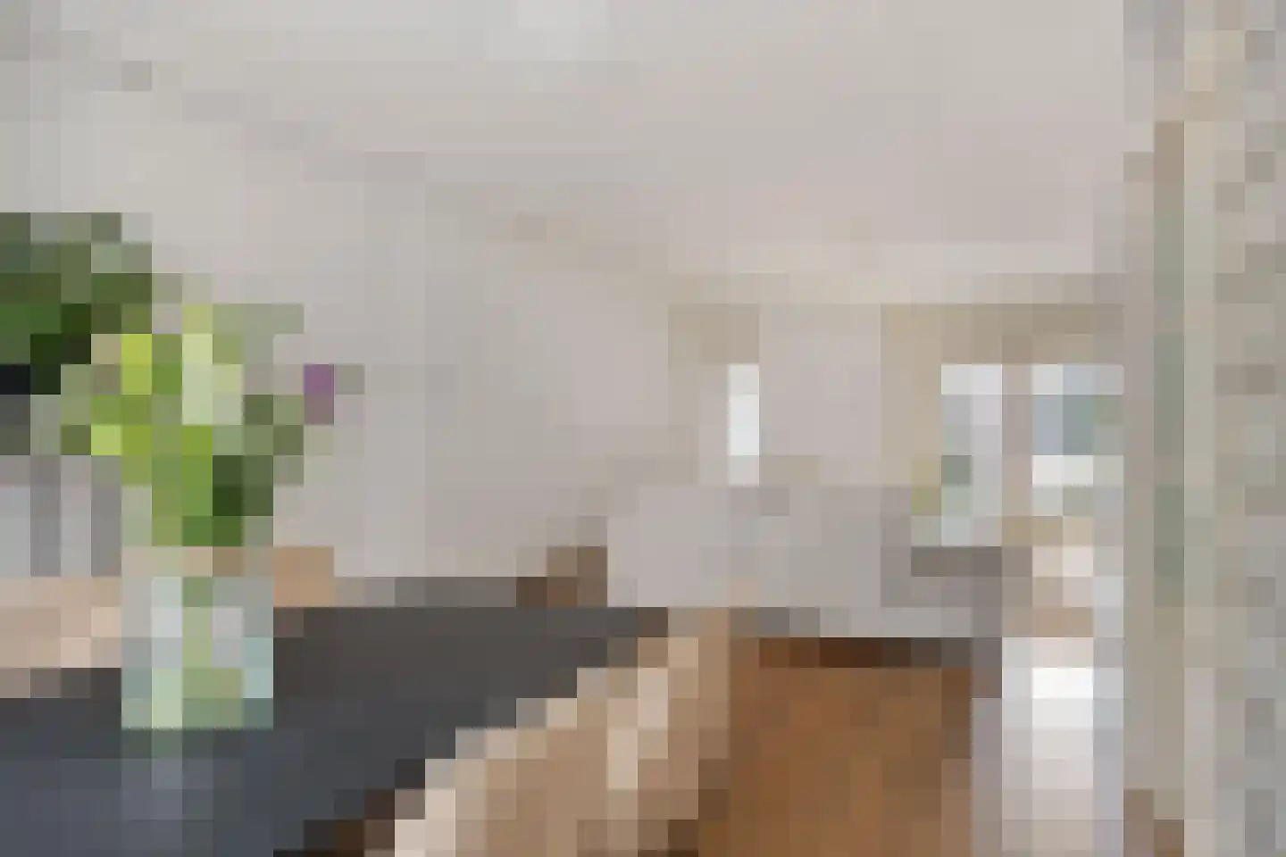 Floris Schoutenstraat 2 Sassenheim thumbnail 11