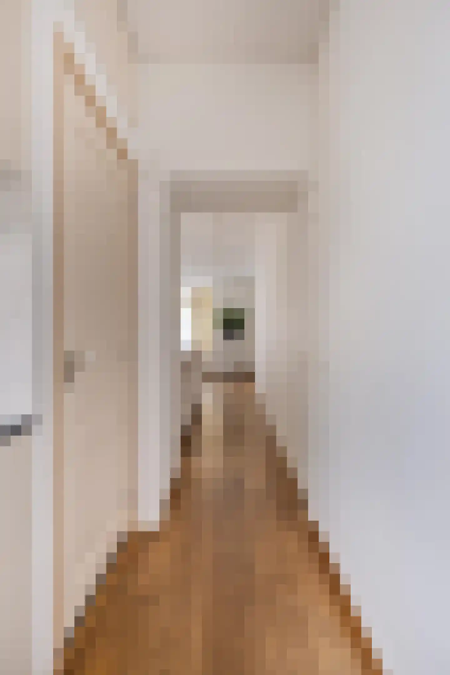 Floris Schoutenstraat 2 Sassenheim thumbnail 13