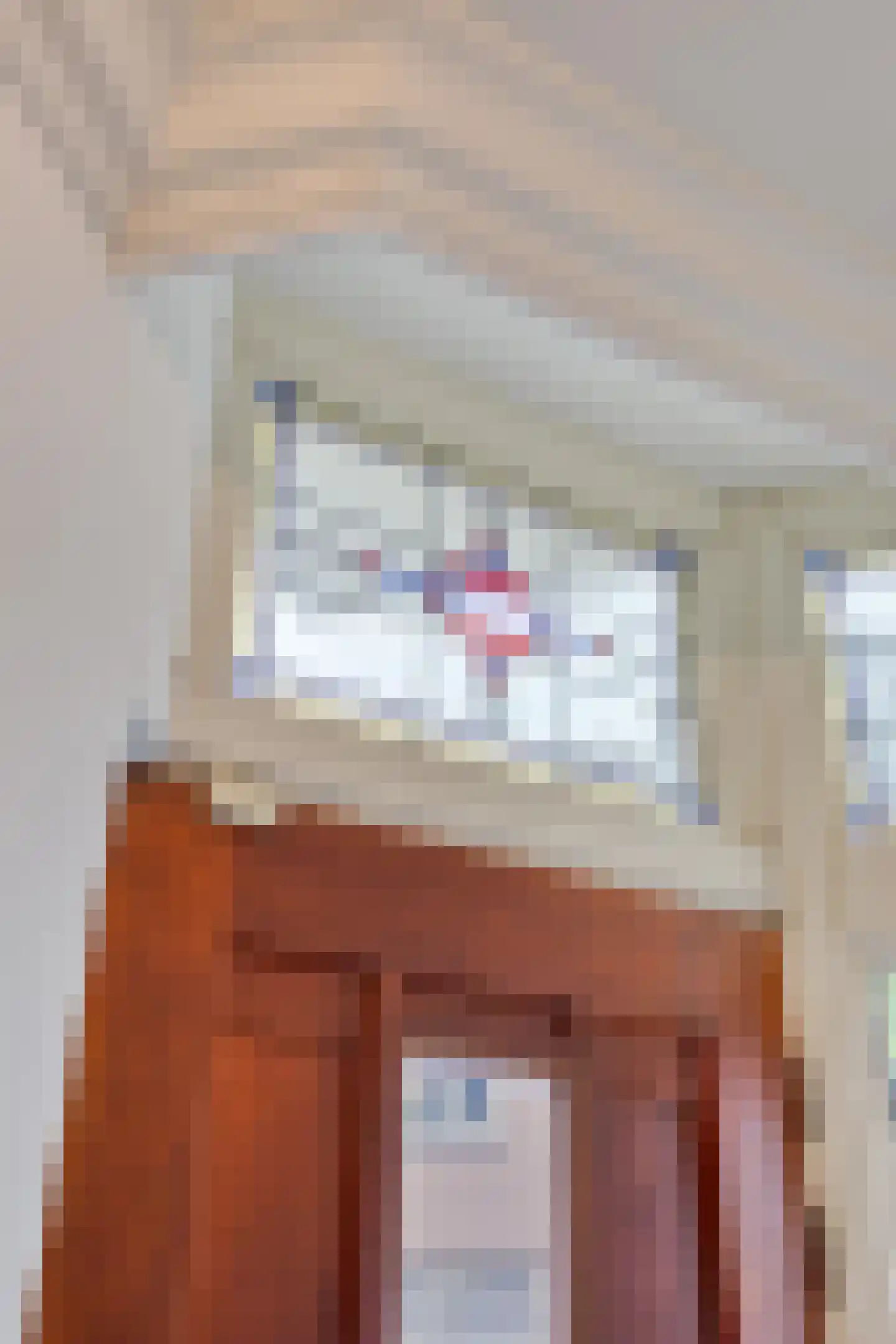 Floris Schoutenstraat 2 Sassenheim thumbnail 5