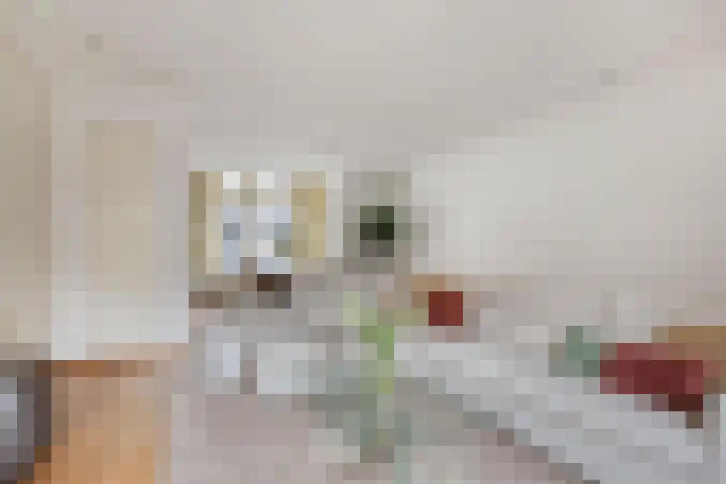 Floris Schoutenstraat 2 Sassenheim thumbnail 6