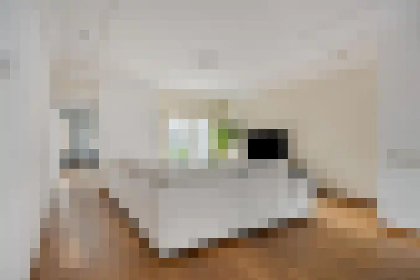 Floris Schoutenstraat 2 Sassenheim thumbnail 8