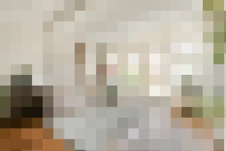 Floris Schoutenstraat 26 Sassenheim thumbnail 4