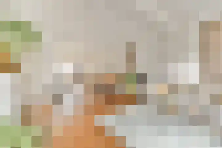 Floris Schoutenstraat 26 Sassenheim thumbnail 5