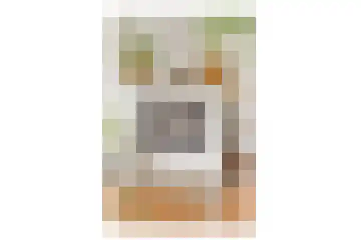Floris Schoutenstraat 26 Sassenheim thumbnail 7