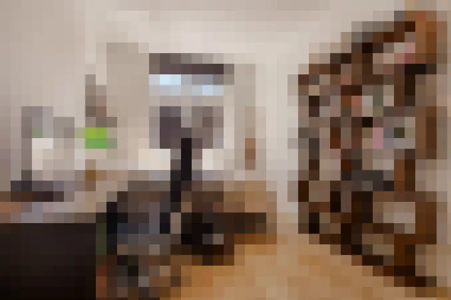 Floris V Dreef 14 Blaricum thumbnail 13