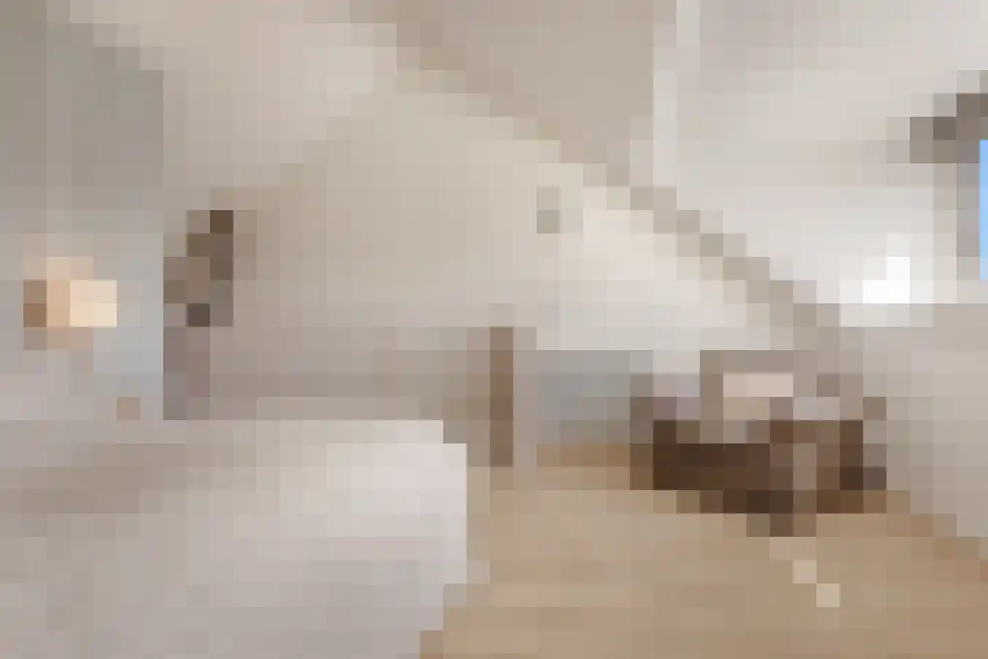 Floris V Dreef 14 Blaricum thumbnail 23