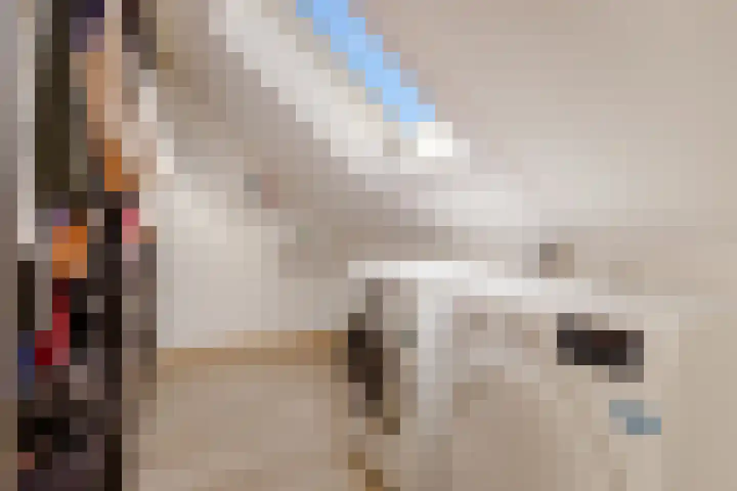 Floris V Dreef 14 Blaricum thumbnail 24