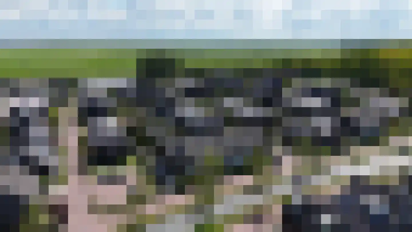 Floris V Dreef 14 Blaricum thumbnail 34