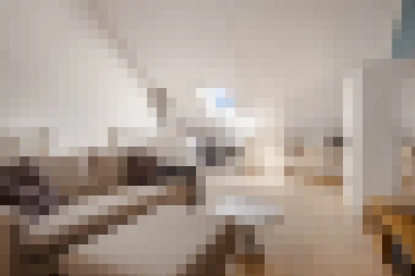 Floris V Dreef 18 Blaricum thumbnail 22