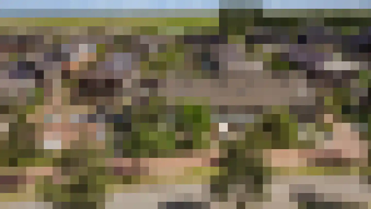 Floris V Dreef 18 Blaricum thumbnail 23