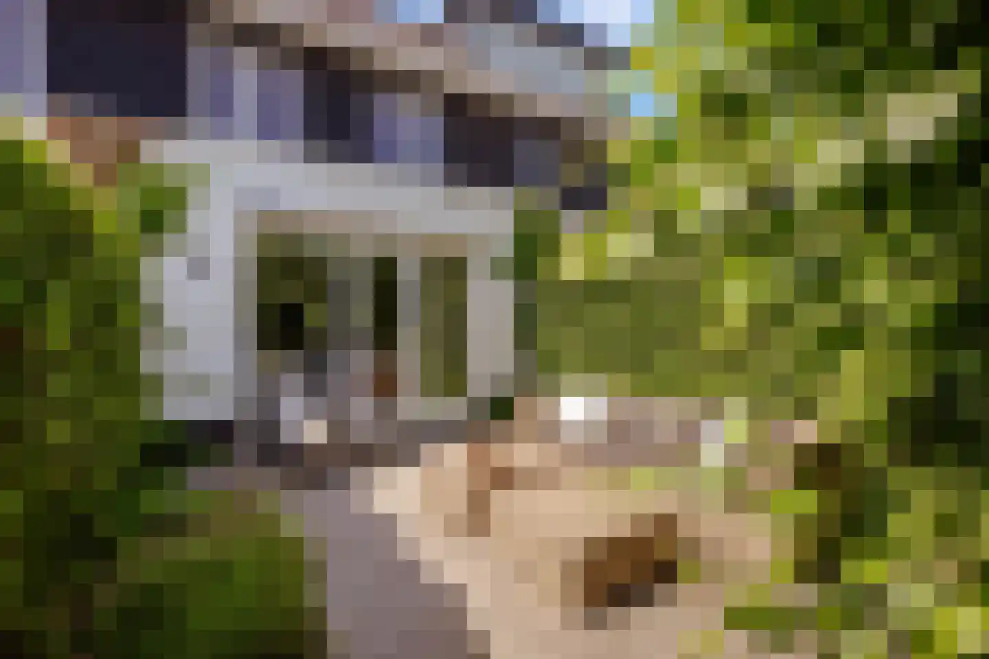 Floris V Dreef 18 Blaricum thumbnail 26