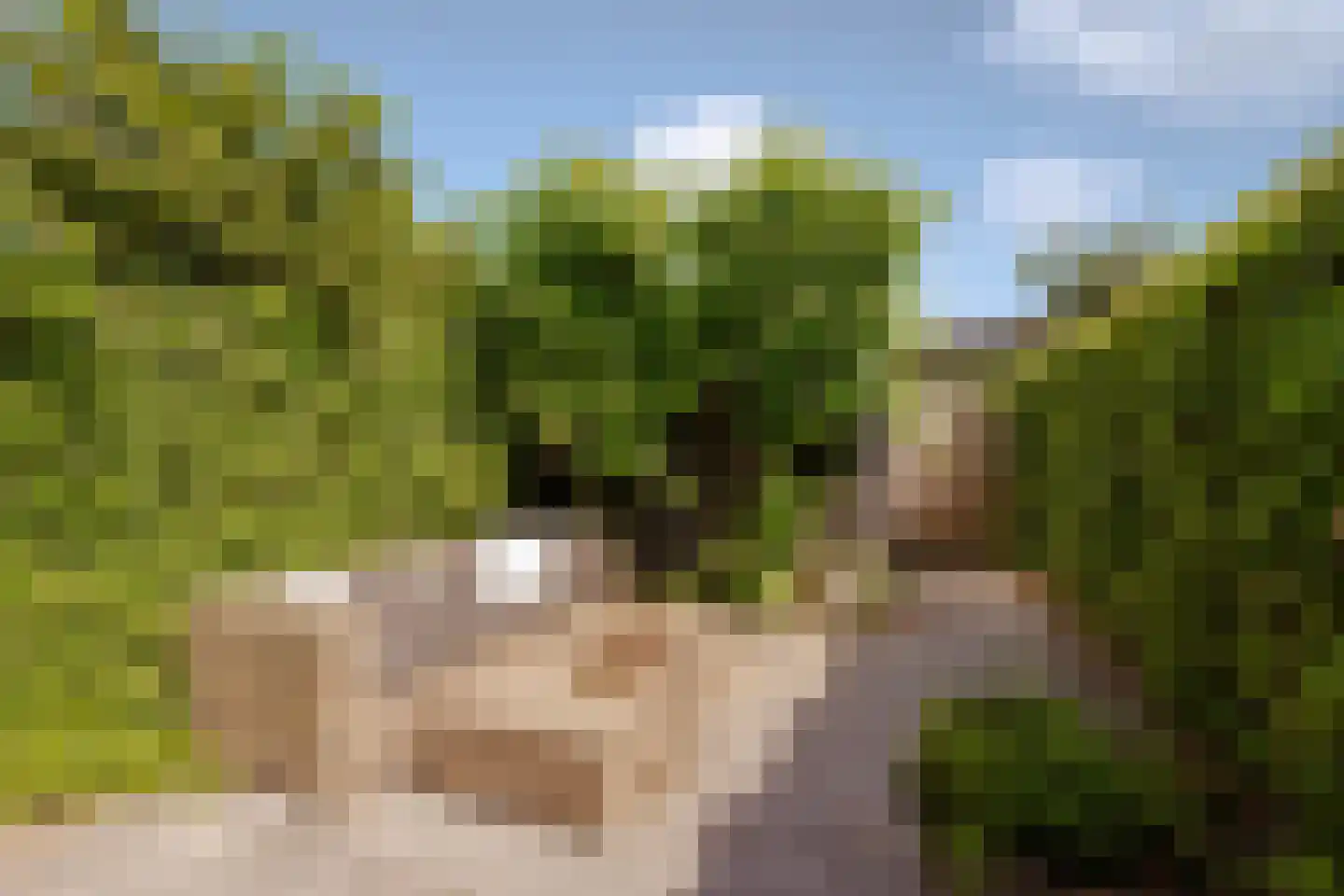 Floris V Dreef 18 Blaricum thumbnail 27