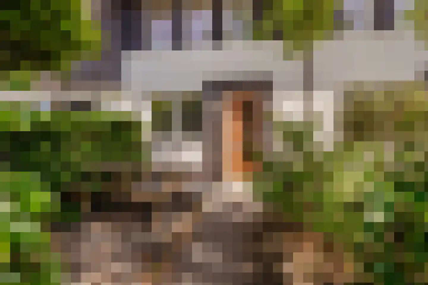 Floris V Dreef 18 Blaricum thumbnail 31