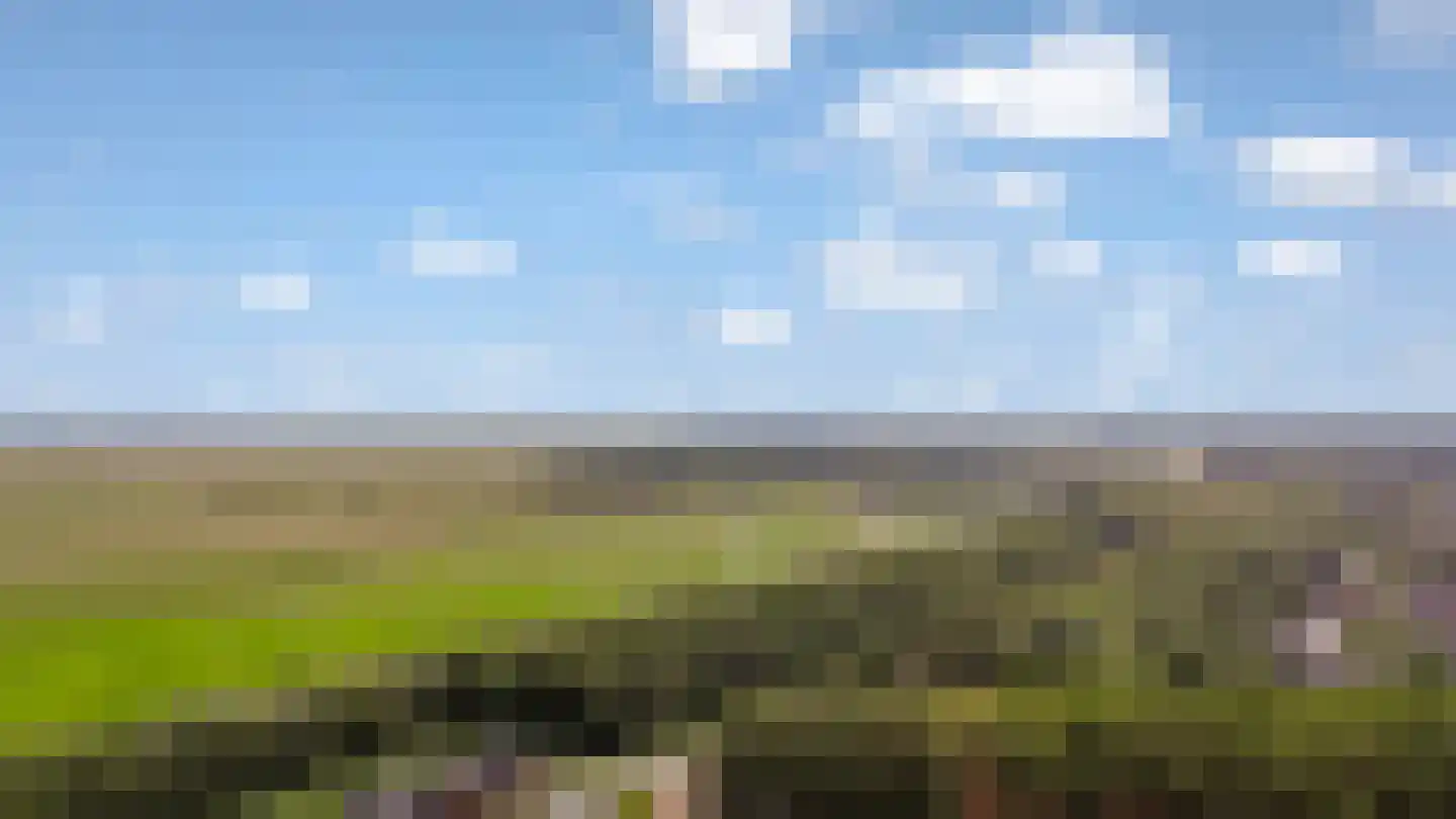 Floris V Dreef 18 Blaricum thumbnail 32