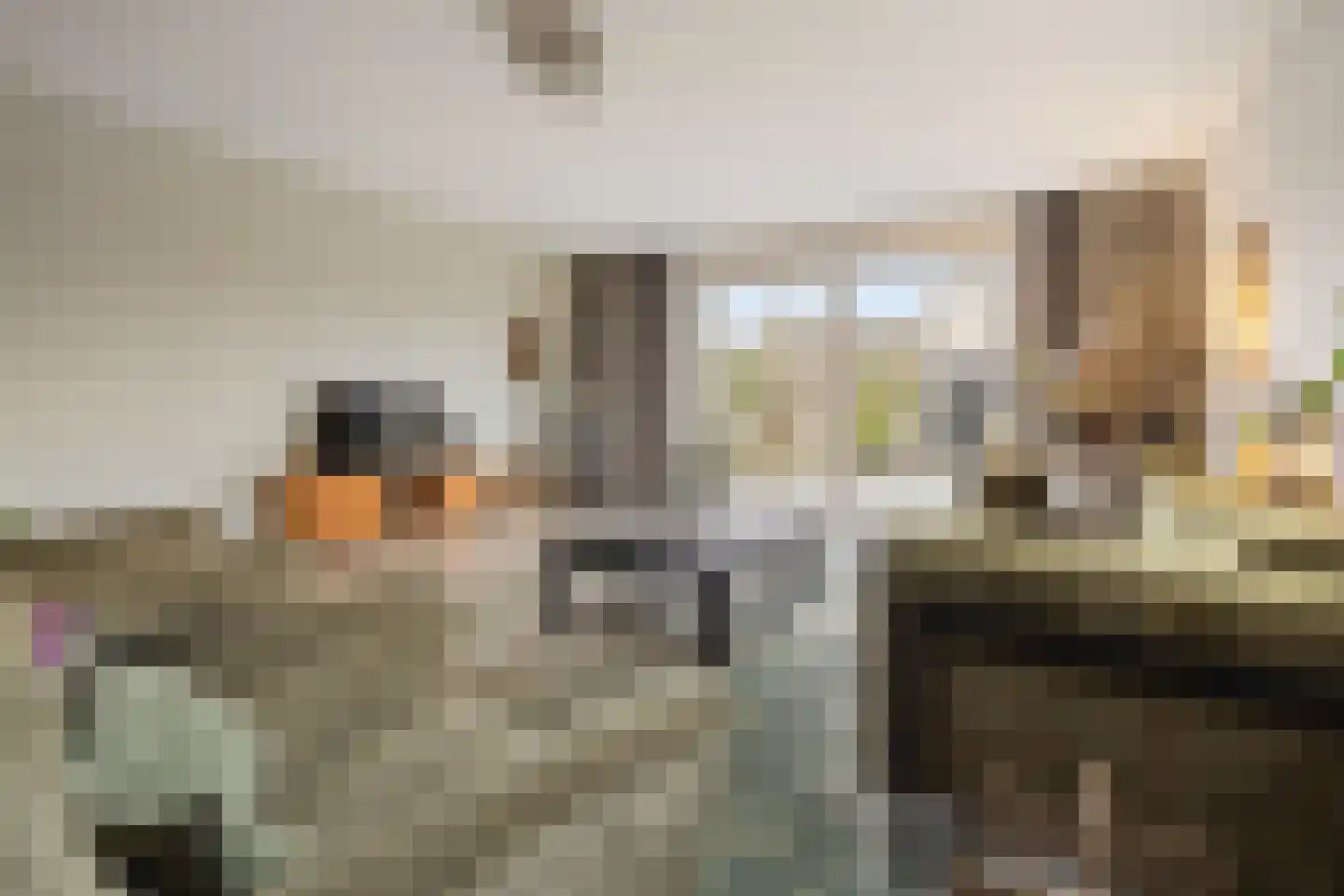 Floris V Dreef 21 Blaricum thumbnail 11