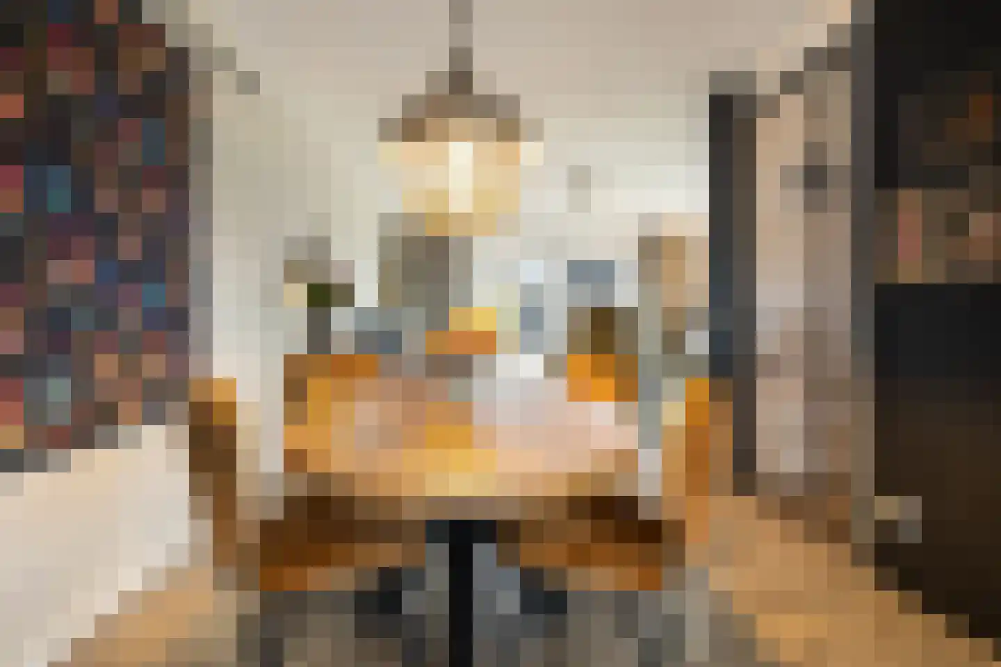 Floris V Dreef 21 Blaricum thumbnail 17