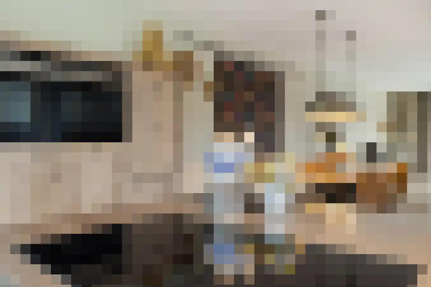 Floris V Dreef 21 Blaricum thumbnail 20