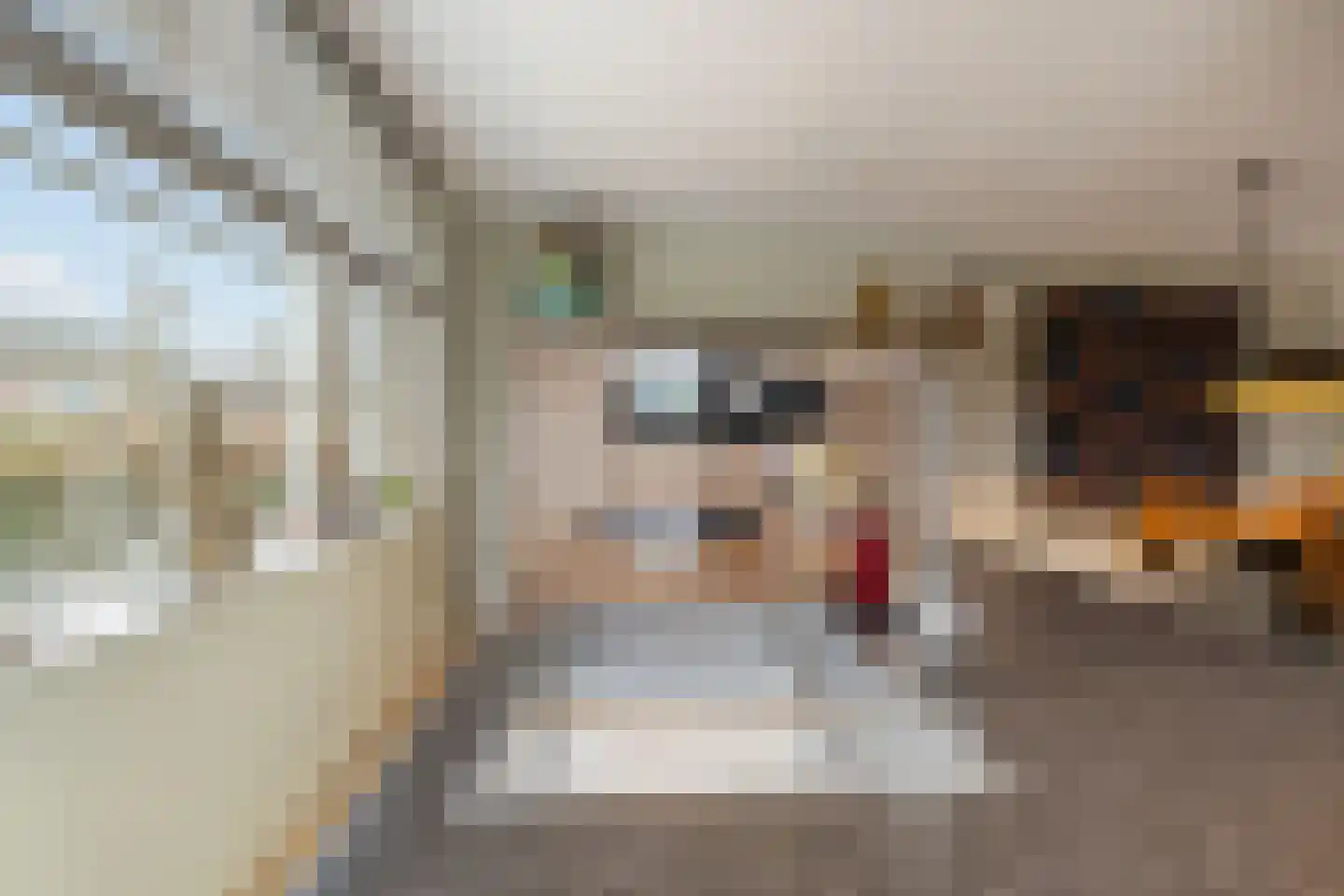 Floris V Dreef 21 Blaricum thumbnail 22