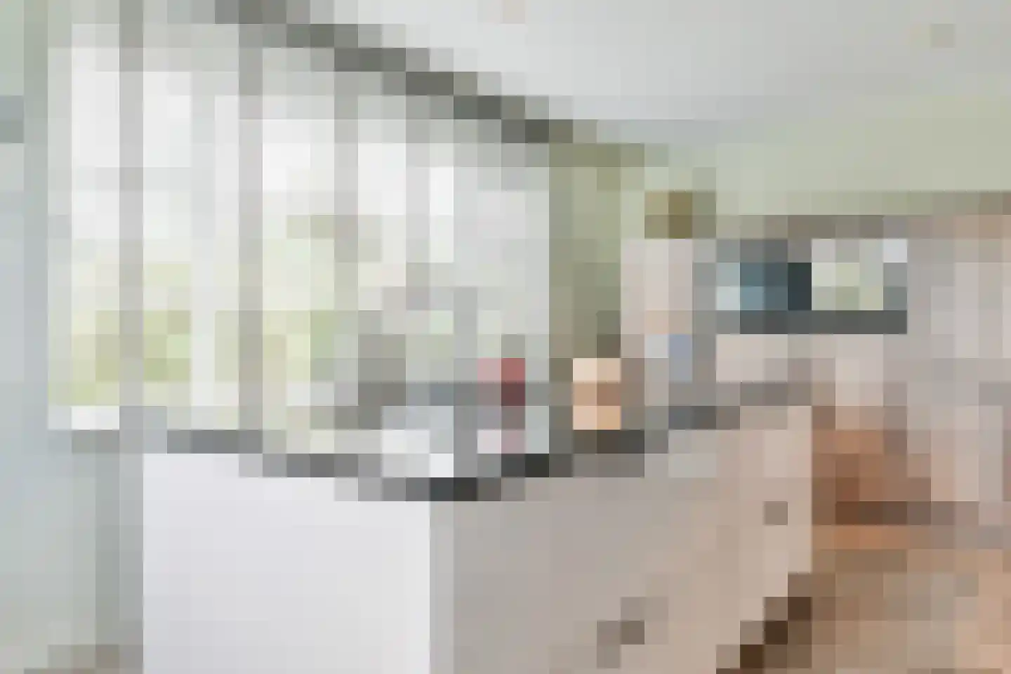 Floris V Dreef 21 Blaricum thumbnail 24