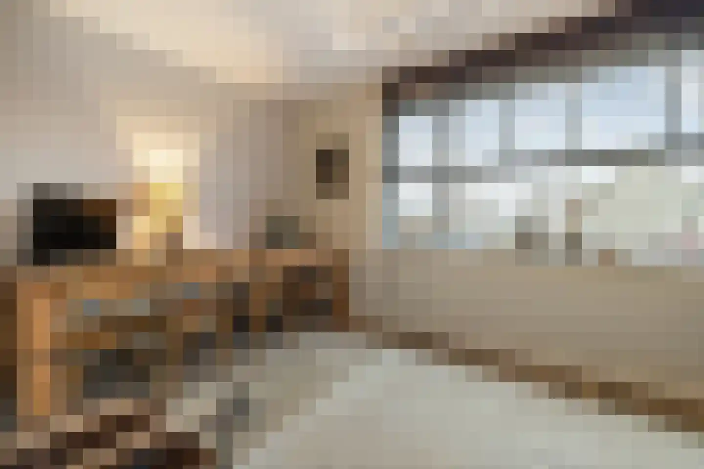 Floris V Dreef 21 Blaricum thumbnail 31