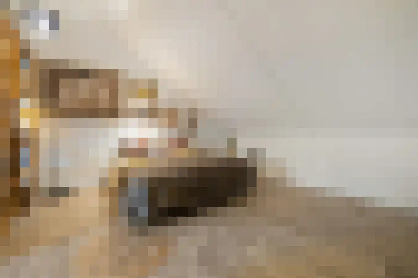 Floris V Dreef 21 Blaricum thumbnail 33