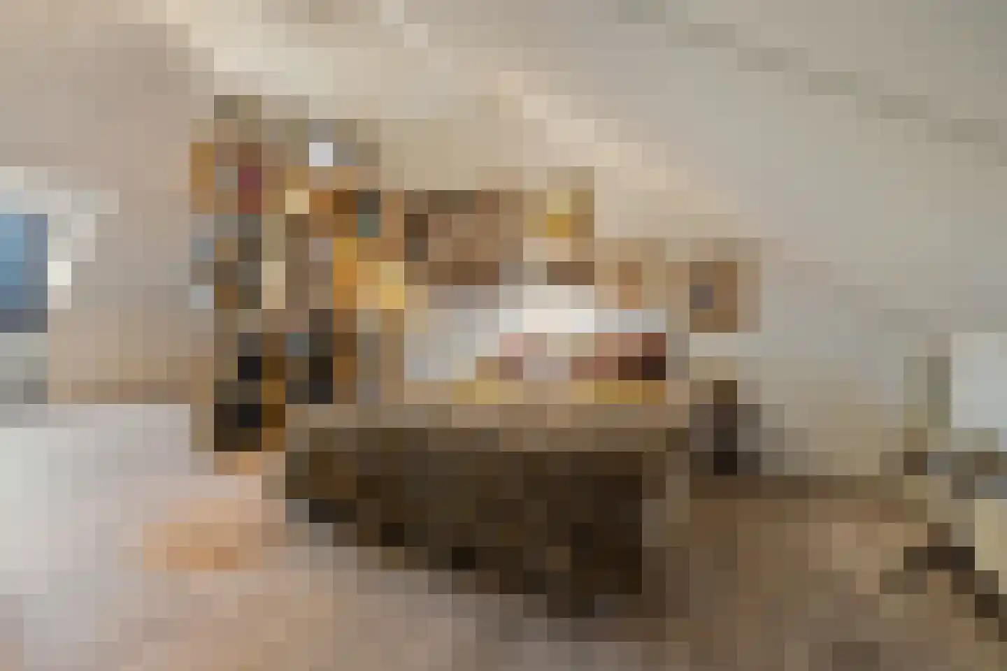 Floris V Dreef 21 Blaricum thumbnail 34
