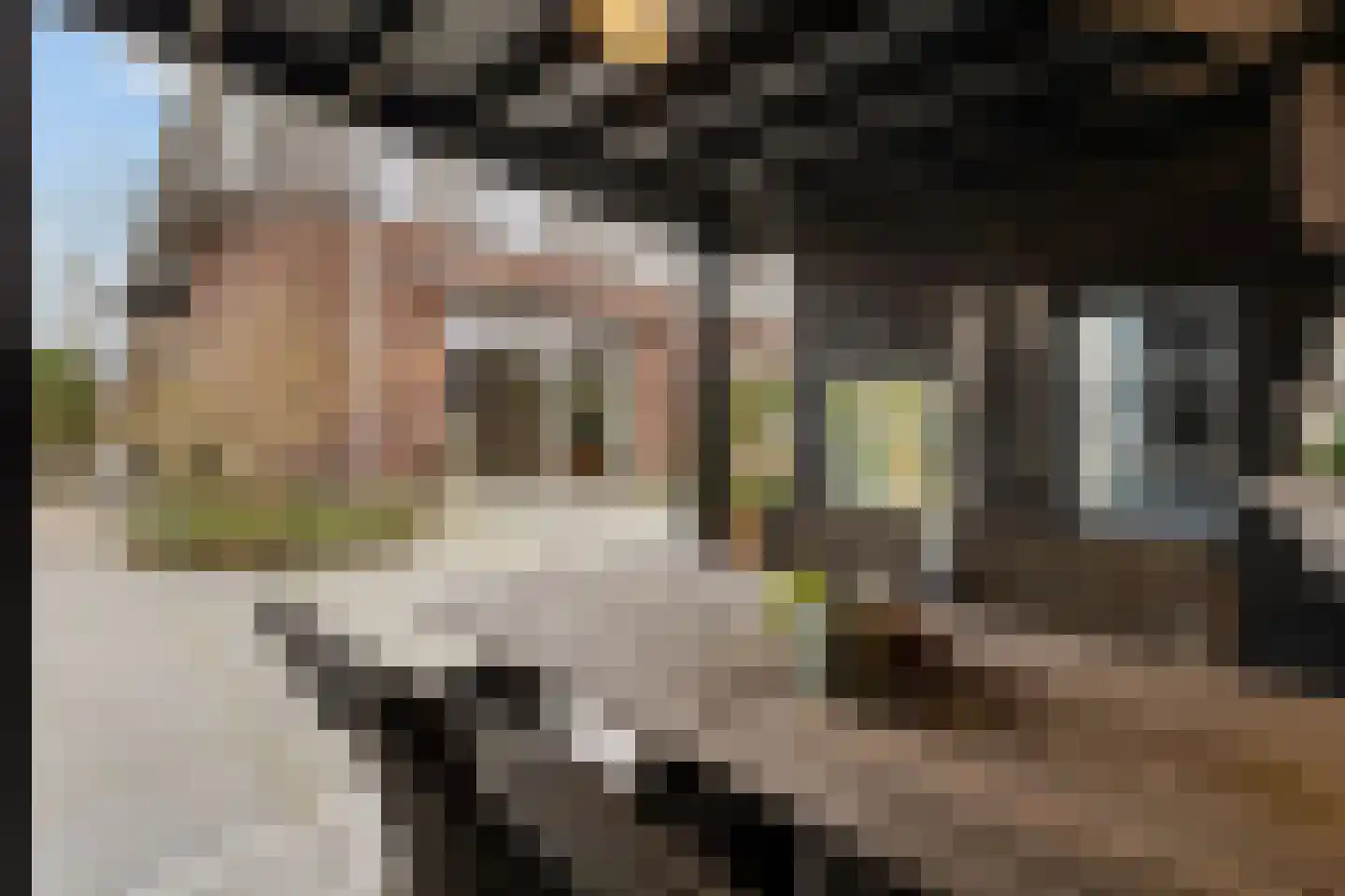 Floris V Dreef 21 Blaricum thumbnail 43