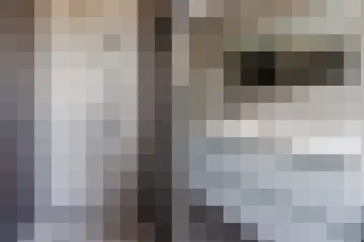 Floris V Dreef 30 Blaricum thumbnail 19