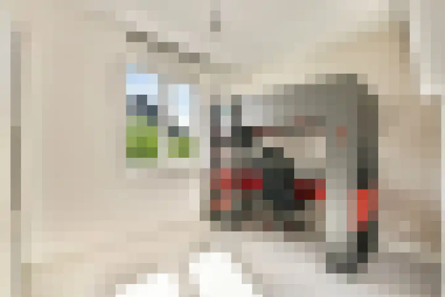 Floris V Dreef 30 Blaricum thumbnail 23