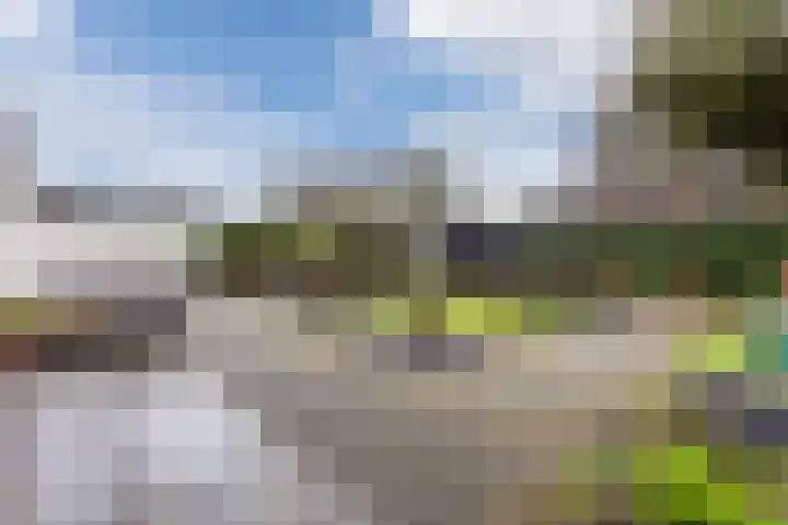 Floris V Dreef 30 Blaricum thumbnail 29
