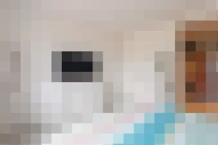 Floris V Dreef 30 Blaricum thumbnail 4