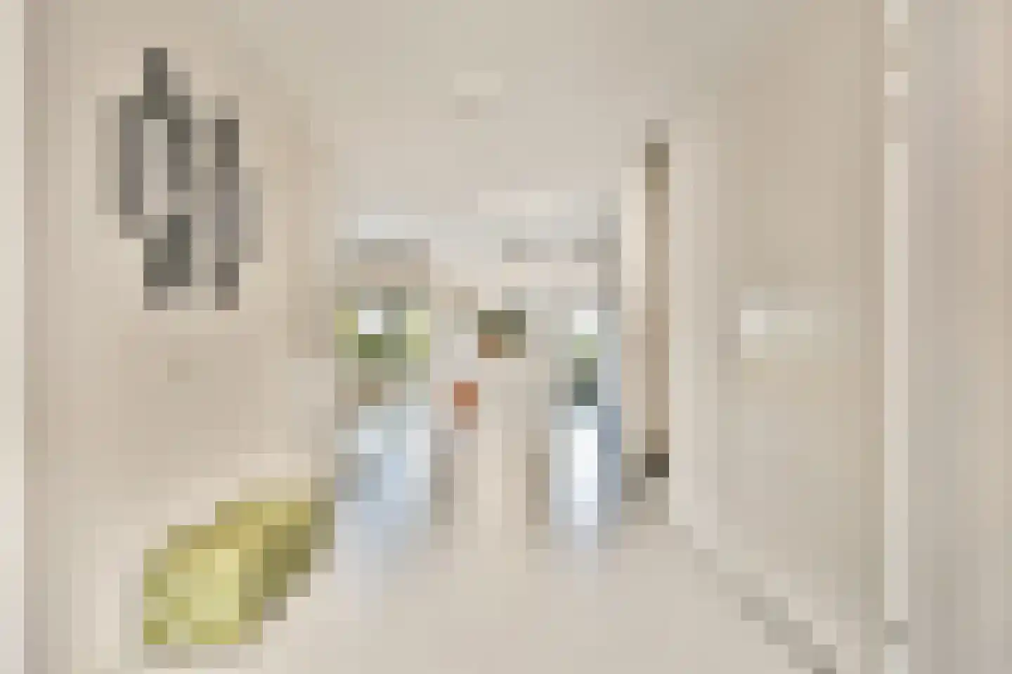 Floris V Dreef 30 Blaricum thumbnail 8