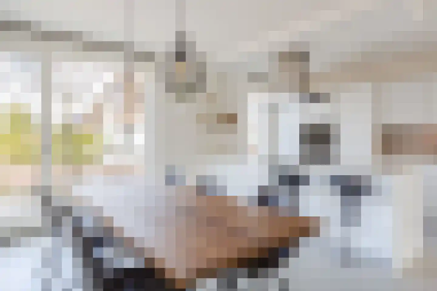 Floris V Dreef 30 Blaricum thumbnail 9