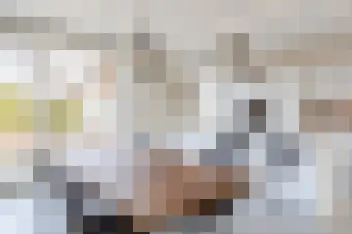 Floris V Dreef 30 Blaricum thumbnail 9