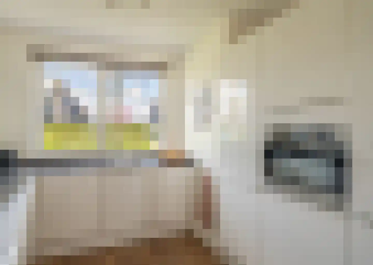 Floris V Dreef 35 Blaricum thumbnail 10