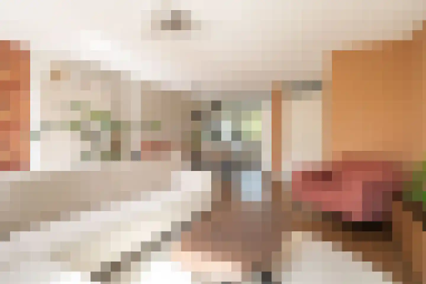 Floris V Dreef 35 Blaricum thumbnail 18