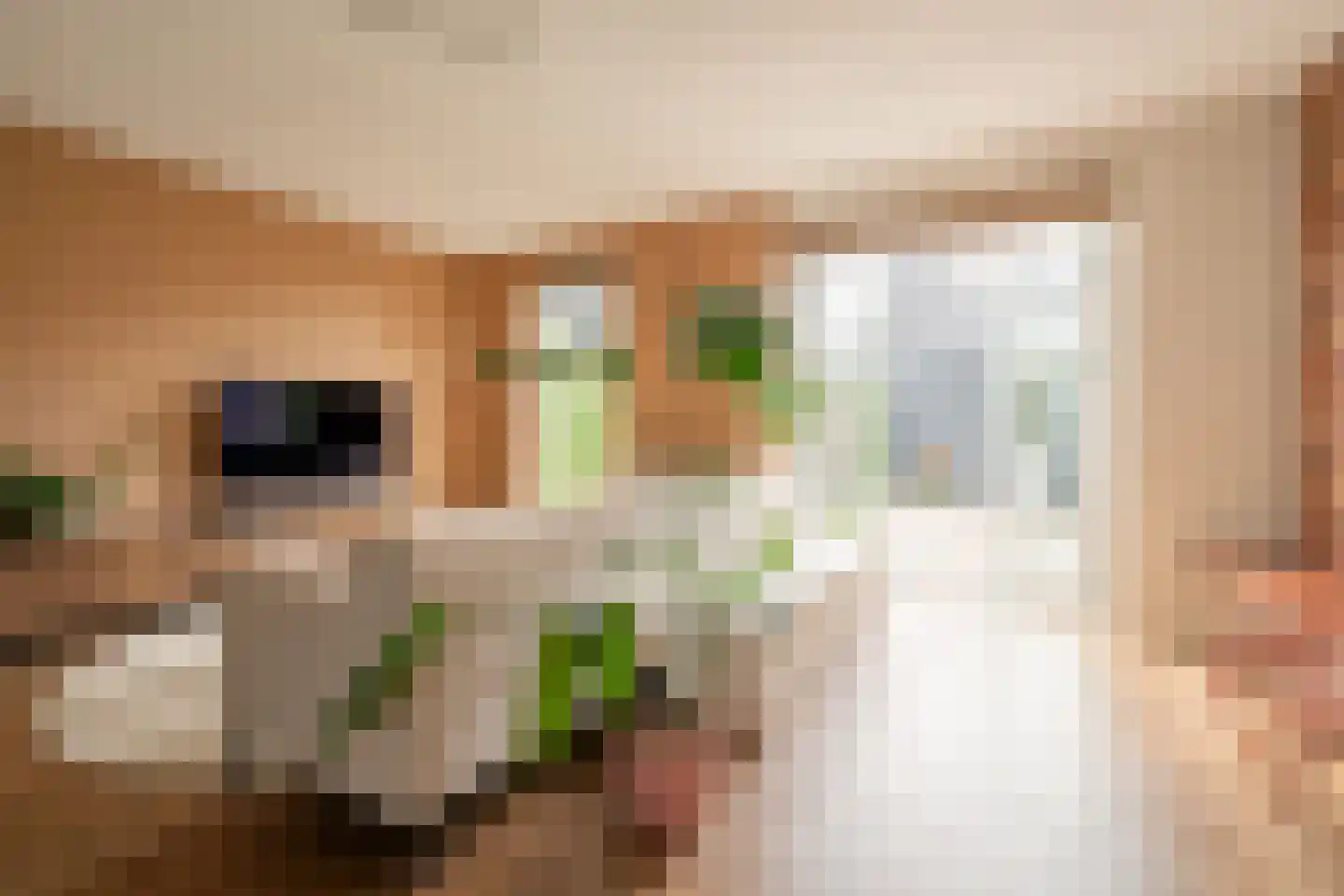 Floris V Dreef 35 Blaricum thumbnail 21