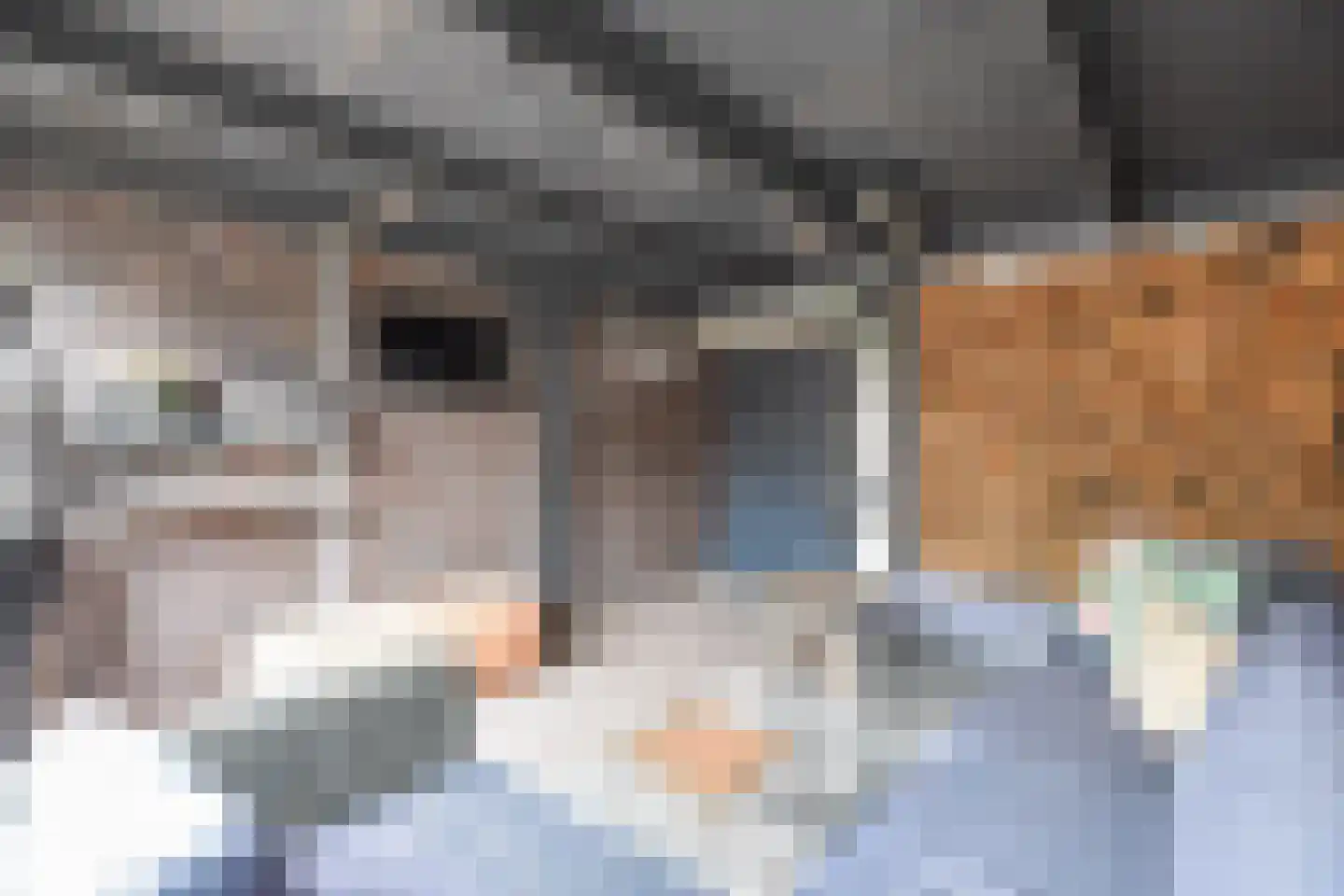 Floris V Dreef 41 Blaricum thumbnail 17