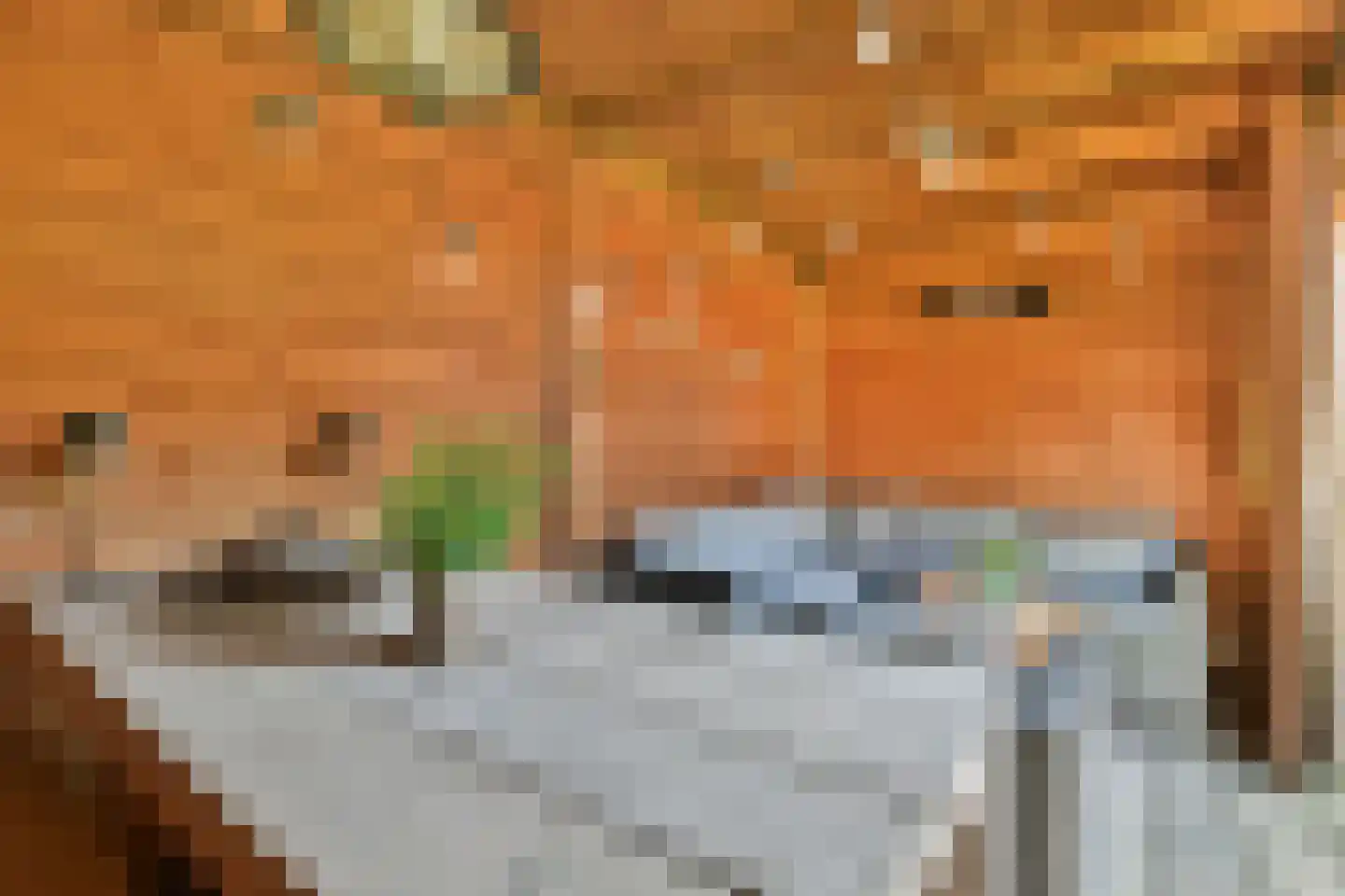 Floris V Dreef 46 Blaricum thumbnail 29