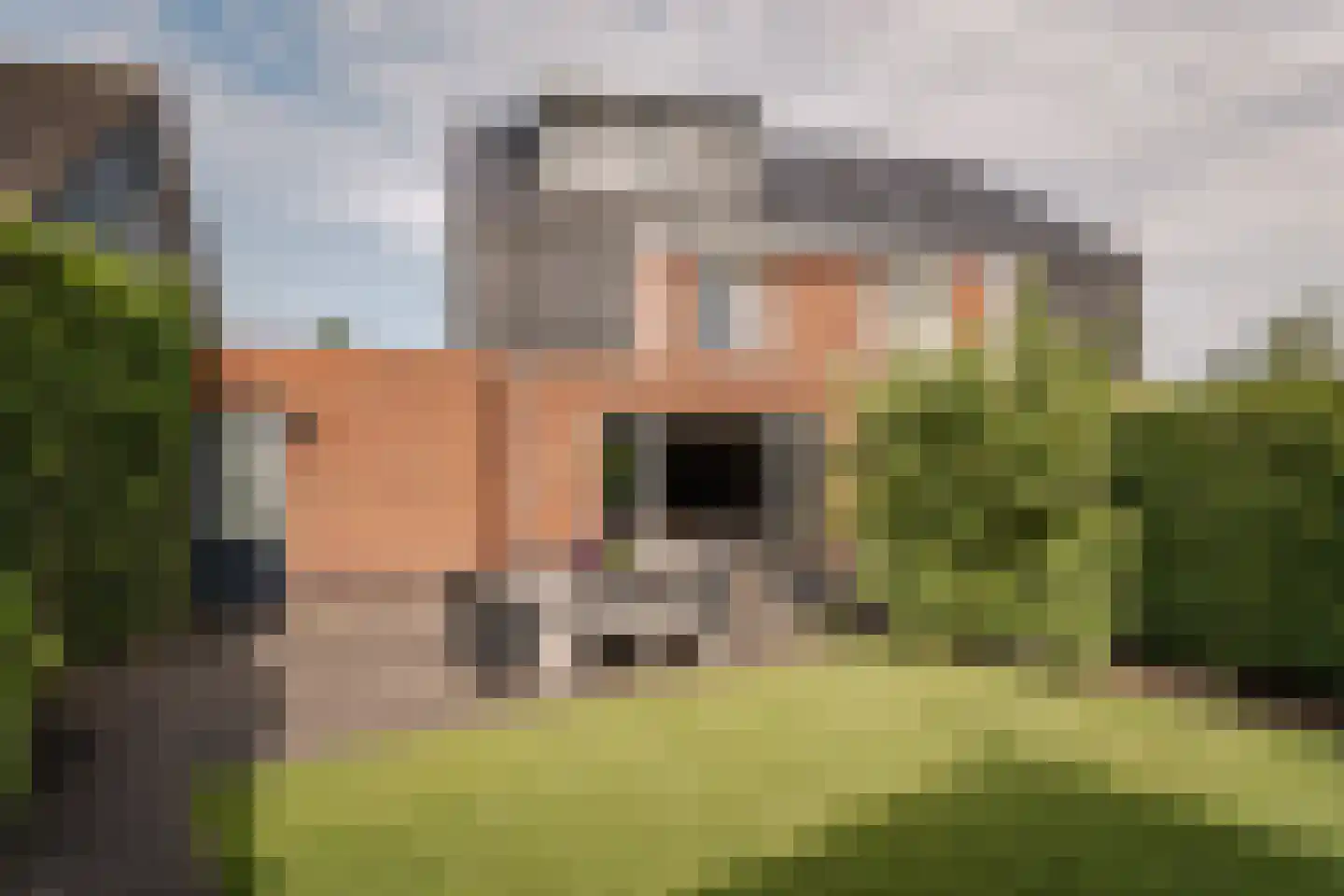 Floris V Dreef 46 Blaricum thumbnail 30