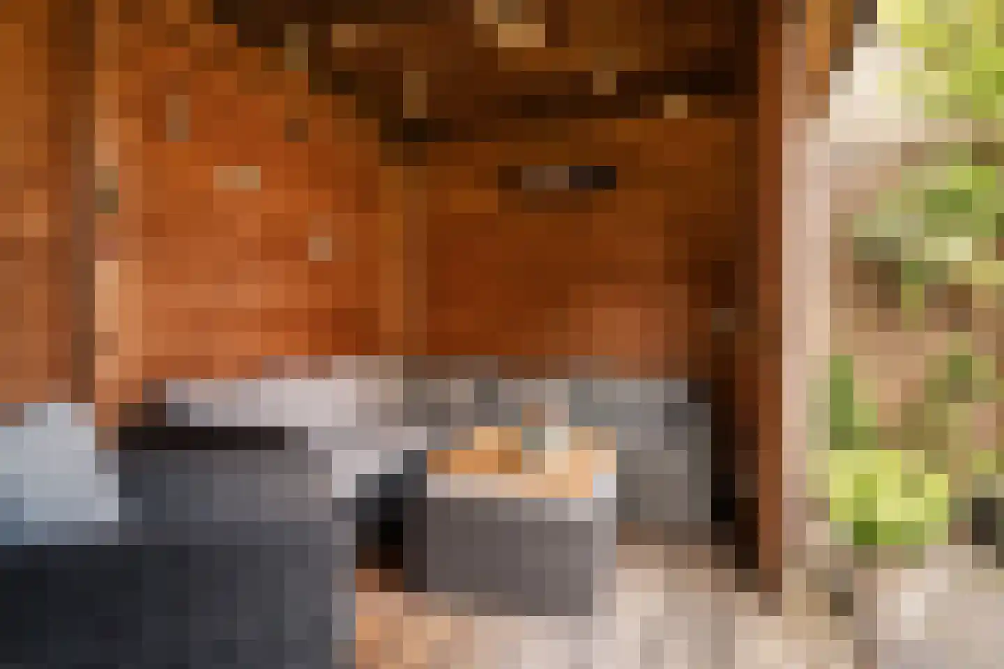 Floris V Dreef 46 Blaricum thumbnail 34