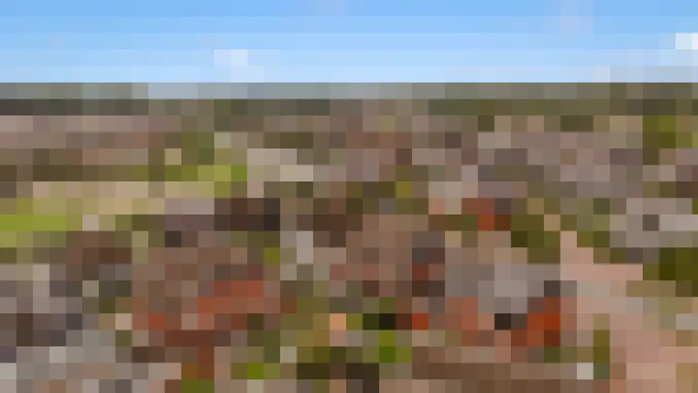 Floris V Dreef 46 Blaricum thumbnail 38