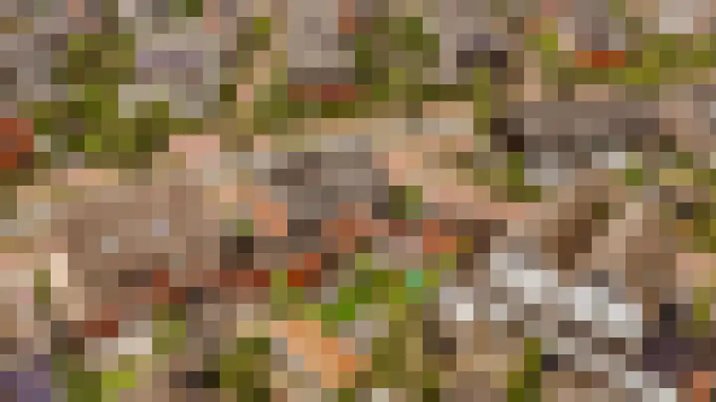 Floris V Dreef 46 Blaricum thumbnail 39