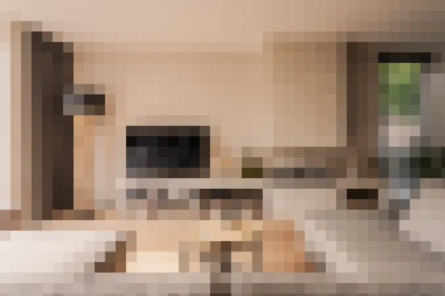 Floris V Dreef 46 Blaricum thumbnail 4