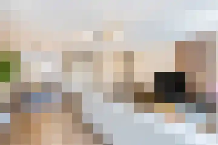 Floris V Dreef 49 Blaricum thumbnail 10