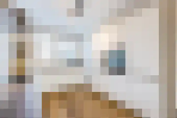 Floris V Dreef 49 Blaricum thumbnail 18