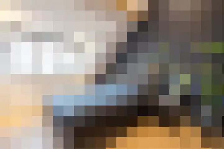 Floris V Dreef 49 Blaricum thumbnail 48