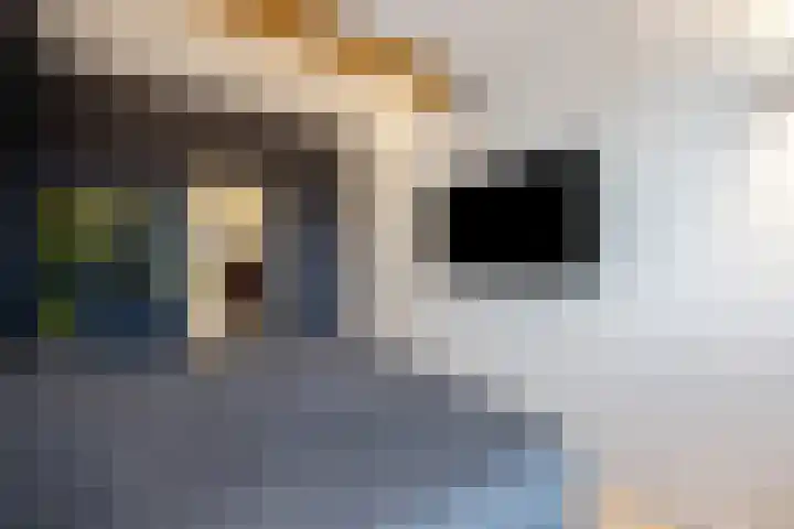 Floris V Dreef 49 Blaricum thumbnail 50